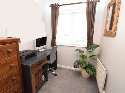 Picture 16